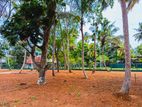 Midigama Beach Side Land For Sale