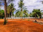 Midigama සුන්දර මුහුදු වෙරළ තීරයට සමීපයෙන් විකිණීමට අගනා බිම් කොටස්