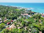 Midigama Weligama Beach Front Land Plot