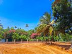මිදිගම වෙරළ තීරයට ආසන්නයෙන් වටිනා බිම් කිටසක්