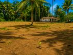 මිදිගමින් සුපිරි View එක්ක සමග අගනා ඉඩමක්