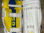 Mids Cricket Pads