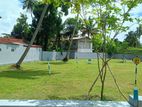 මීගමු නගරයේ අගනා බිම් කොටස් විකිණීමට