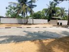 මීගමු පාරට 1km දුරින් 7.3p අගනා ඉඩමක් වැලිසරින් විකිණීමට ඇත