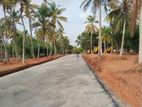 මීගමුව දoකොටුව නගරයෙන්ම ඉඩම්