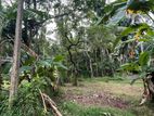 මීගමුවෙන් අගනා ඉඩමක් විකිණීමට ඇත
