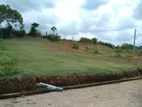 මීගොඩ ආටිගල පාරෙන් බිම් කොටස් විකිණීමට