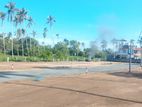 මීගොඩින් ඉඩමක්