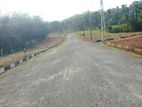 මීගොඩින් ඉඩමක්