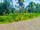 මීරිගම දිවුලපිටිය ප්‍රධාන පාරට ආසන්නයෙන් ඉඩමක් විකිණීමට