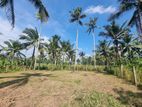 මීරිගමෙන් පර්චස් 16 ක වටිනා බිම් කොටසක්