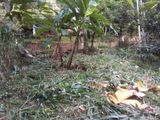මිල අඩු කළා! ගන්නෝරුවේ ඉඩමක් විකිණීමට