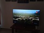 Panasonic 32" HDMI LED TV