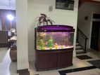 Min Jiang Fish Tank 5 Feet