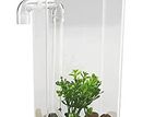 Mini Fish Tank Bowl Aquarium