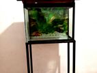 Mini planted aquarium tank