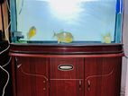 Minjiang 3feet Fish Tank