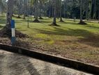මිනුවන්ගොඩ දෙවලපොලින්