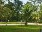 මිනුවන්ගොඩ දෙවොලපල බිම්කොටස්
