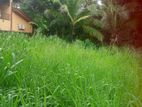 මිනුවන්ගොඩ , හොරම්පැල්ලෙන් බිම් කොටස් 2 යි
