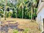 මිනුවන්ගොඩ නගරය කටුනායක පාරට මීටර් 600 යි