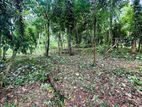 මිනුවන්ගොඩ නගරයට ආසන්නයෙන් ඉඩමක්