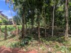 🏡 මිනුවන්ගොඩ නගරයට ආසන්නයෙන් සුපිරි ඉඩමක්