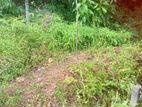 මිනුවන්ගොඩ ඕපාතින් බිම් කොටස් 6 ක්
