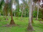 මිනුවන්ගොඩ, පන්සිල්ගොඩ ගත්තොත් ගොඩ. Land for Sale