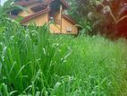 මිනුවන්ගොඩ පර්චස් 15 ක ඉඩමක්