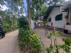 🏡🌾 මිනුවන්ගොඩ – යකහටුවෙන් ලක්ෂ 45ට වටිනා දේපළක් / UP 15397