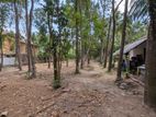 මිනුවන්ගොඩින් ඉඩමක් HS 12825
