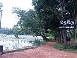 මිනුවන්ගොඩින් වටිනා ඉඩමක් විකිණීමට