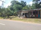 Minuwangoda : 75P Highly Commercial Land for Sale Facing to Main Road