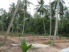 Minuwangoda Divulapitiya Dunagaha land for sale close to Negombo rd