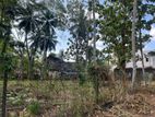 Minuwangoda - Divulapitiya Main Rd Prime 60.57 Perches of Land for Sale