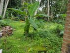 ￭ Minuwangoda House + Land For Sale (NK11316)