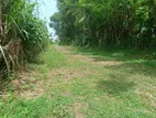 Minuwangoda Katuwallegama Aluthapola main road facing land for sale