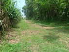 Minuwangoda Katuwallegama Aluthapola main road facing land for sale
