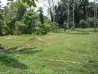 Minuwangoda Kotugoda 40 container access land on sale warehouse factory