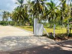 Minuwangoda Land for Sale