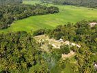 Minuwangoda Land for Sale ( Paddy Field Front )
