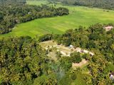 Minuwangoda Land for Sale ( Paddy Field Front )