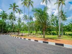 Minuwangoda New City Residential Lands for Sale