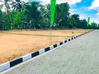 Minuwangoda Precious Land Plots For Sale