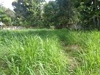 Minuwangoda Yagodamulla Thapalwatte land for sale with wide roads