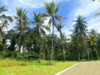 Mirigama දිවුලපිටිය ප්‍රධාන පාරට 1KM දුරින් ඉඩමක්