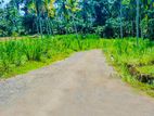 Mirigama දිවුලපිටිය ප්රධාන පාරට 2KM දුරින් ඉඩමක්