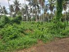Mirigama - Hapugahage Watta 12.5 Perches of Land for Sale