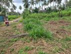 Mirigama - Hapugahage Watta 12.5 Perches of Land for Sale